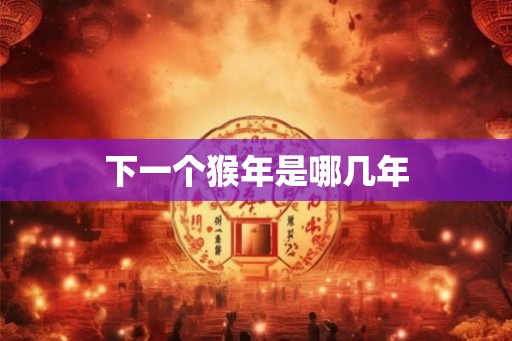 下一个猴年是哪几年