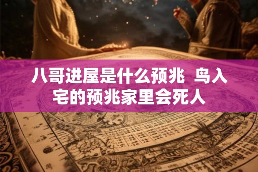 八哥进屋是什么预兆  鸟入宅的预兆家里会死人