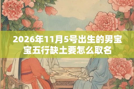 2026年11月5号出生的男宝宝五行缺土要怎么取名