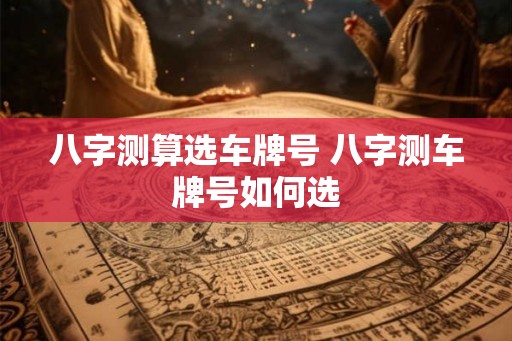 八字测算选车牌号 八字测车牌号如何选