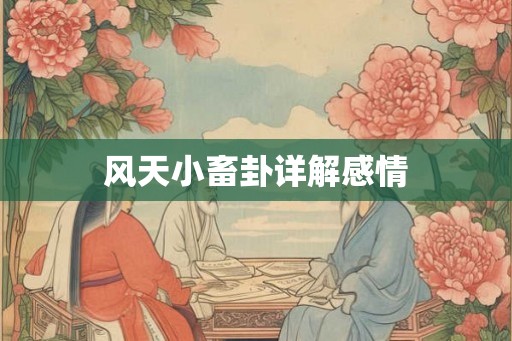 风天小畜卦详解感情