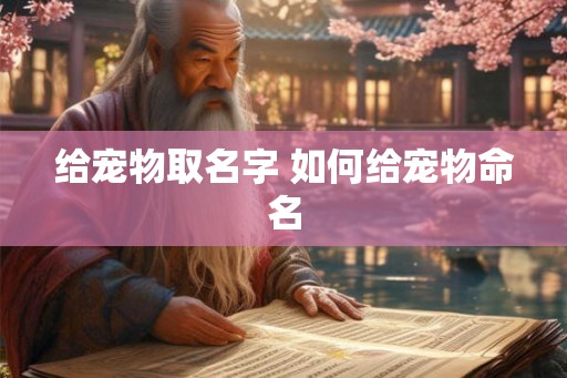 给宠物取名字 如何给宠物命名
