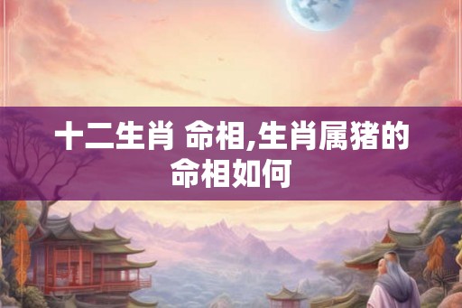 十二生肖 命相,生肖属猪的命相如何