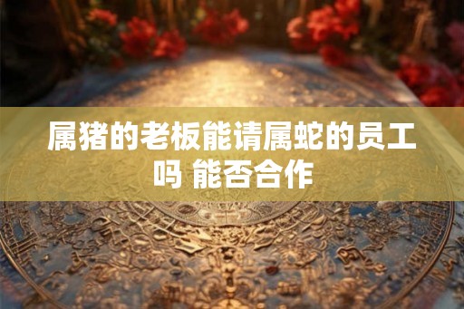 属猪的老板能请属蛇的员工吗 能否合作