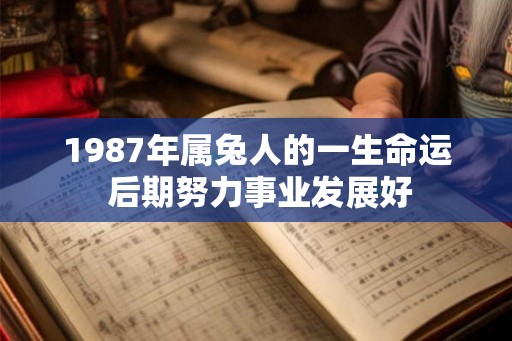 1987年属兔人的一生命运 后期努力事业发展好
