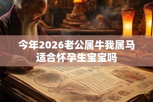 今年2026老公属牛我属马适合怀孕生宝宝吗