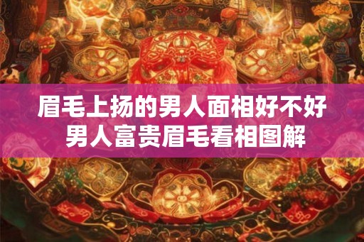 眉毛上扬的男人面相好不好 男人富贵眉毛看相图解