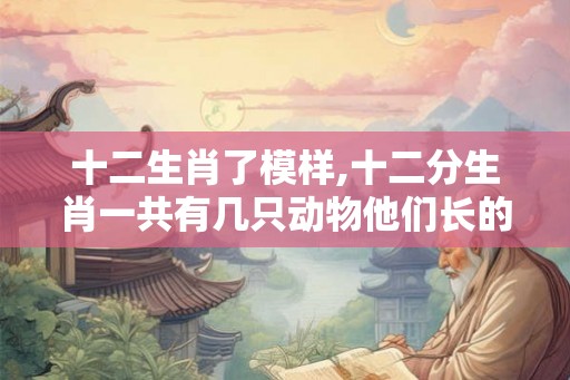 十二生肖了模样,十二分生肖一共有几只动物他们长的什么样