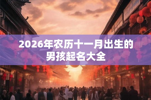 2026年农历十一月出生的男孩起名大全