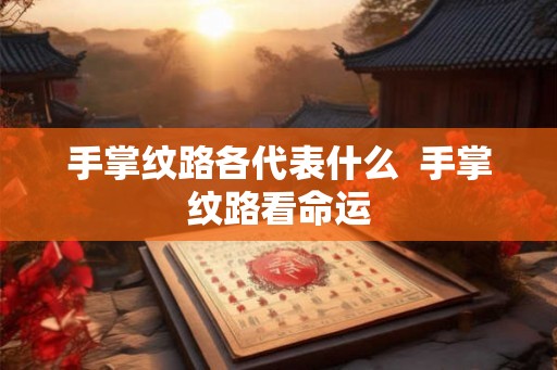 手掌纹路各代表什么  手掌纹路看命运