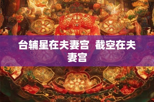 台辅星在夫妻宫  截空在夫妻宫