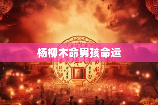 杨柳木命男孩命运