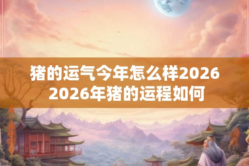 猪的运气今年怎么样2026 2026年猪的运程如何