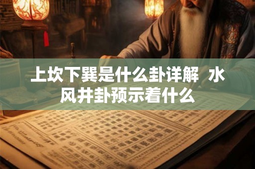 上坎下巽是什么卦详解  水风井卦预示着什么