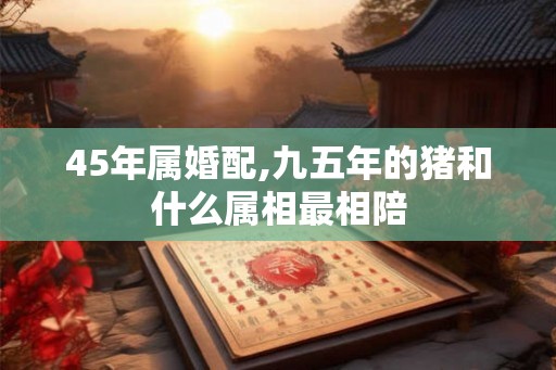 45年属婚配,九五年的猪和什么属相最相陪