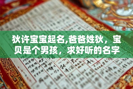 狄许宝宝起名,爸爸姓狄，宝贝是个男孩，求好听的名字。