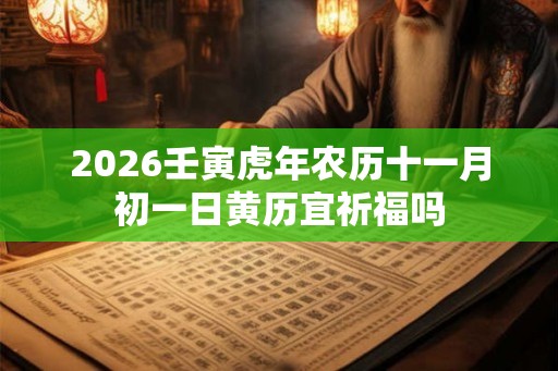 2026壬寅虎年农历十一月初一日黄历宜祈福吗