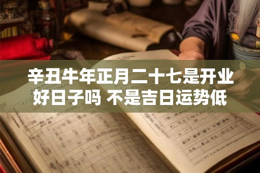 辛丑牛年正月二十七是开业好日子吗 不是吉日运势低迷 辛丑牛年正月二十七是开业好日子吗 不是吉日运势低迷