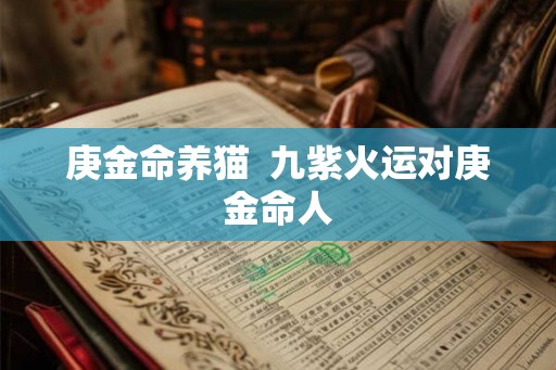 庚金命养猫 九紫火运对庚金命人 庚金命养猫 九紫火运对庚金命人