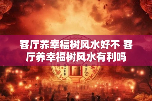 客厅养幸福树风水好不 客厅养幸福树风水有利吗