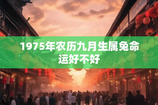 1975年农历九月生属兔命运好不好