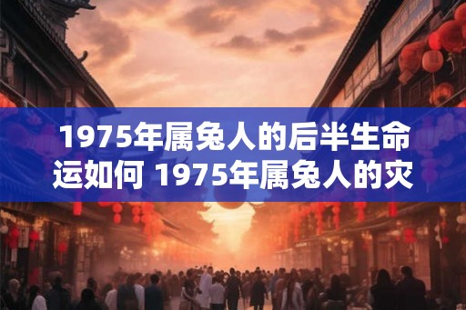 1975年属兔人的后半生命运如何 1975年属兔人的灾难年龄