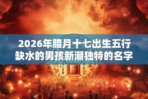2026年腊月十七出生五行缺水的男孩新潮独特的名字