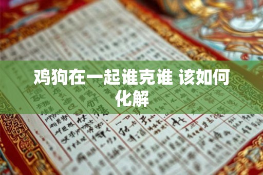 鸡狗在一起谁克谁 该如何化解