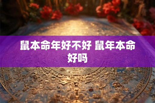 鼠本命年好不好 鼠年本命好吗 鼠本命年好不好 鼠年本命好吗