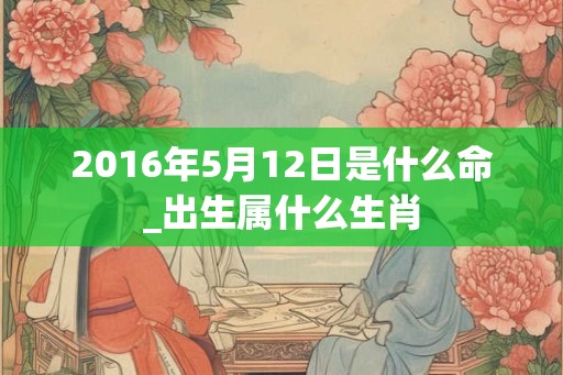 2016年5月12日是什么命_出生属什么生肖