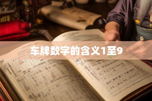 车牌数字的含义1至9