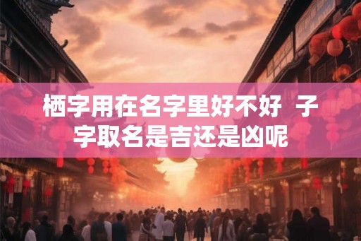 栖字用在名字里好不好  子字取名是吉还是凶呢
