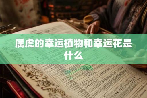 属虎的幸运植物和幸运花是什么