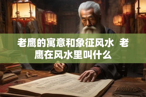 老鹰的寓意和象征风水  老鹰在风水里叫什么