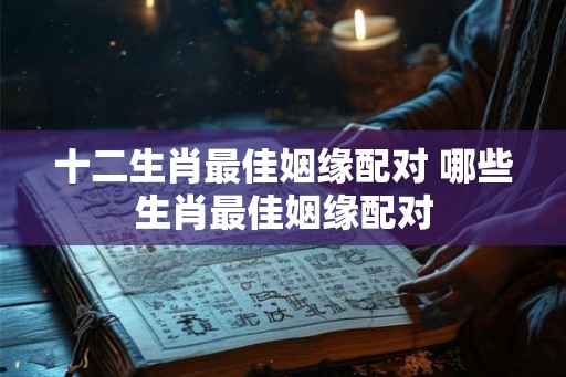 十二生肖最佳姻缘配对 哪些生肖最佳姻缘配对
