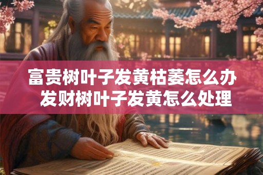 富贵树叶子发黄枯萎怎么办  发财树叶子发黄怎么处理怎么补救