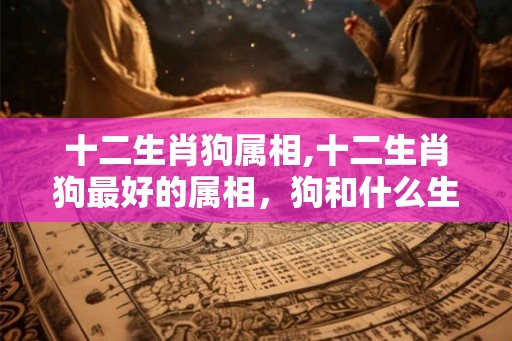 十二生肖狗属相,十二生肖狗最好的属相,狗和什么生肖最好 十二生肖狗属相,十二生肖狗最好的属相,狗和什么生肖最好