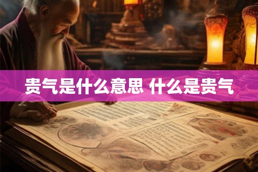贵气是什么意思 什么是贵气 贵气是什么意思 什么是贵气