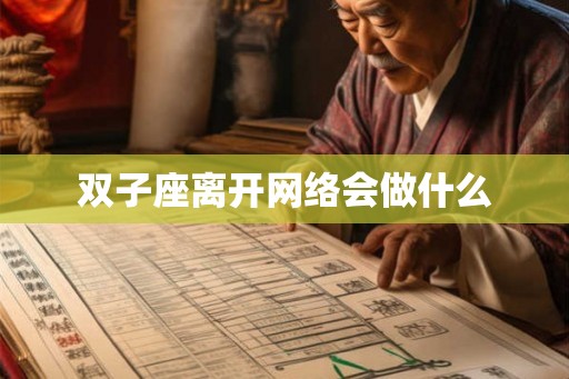 双子座离开网络会做什么 双子座离开网络会做什么