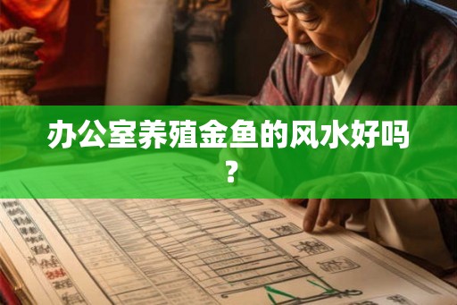 办公室养殖金鱼的风水好吗？