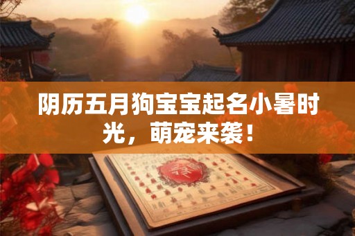 阴历五月狗宝宝起名小暑时光，萌宠来袭！