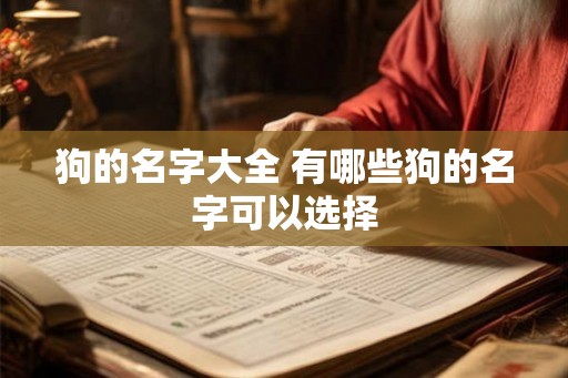 狗的名字大全 有哪些狗的名字可以选择
