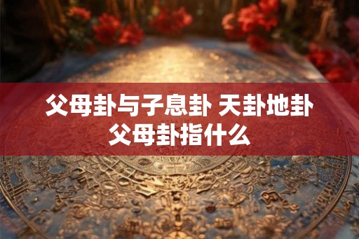 父母卦与子息卦 天卦地卦父母卦指什么