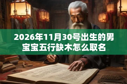 2026年11月30号出生的男宝宝五行缺木怎么取名