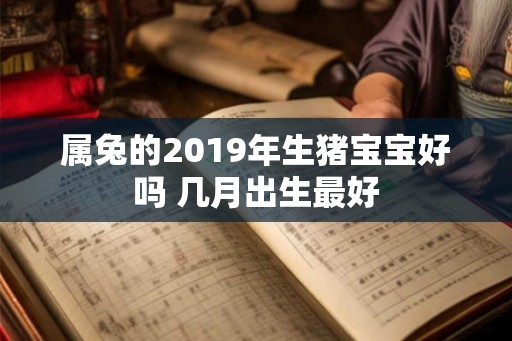 属兔的2019年生猪宝宝好吗 几月出生最好