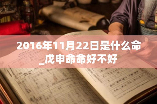 2016年11月22日是什么命_戊申命命好不好