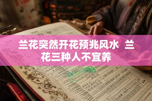 兰花突然开花预兆风水  兰花三种人不宜养
