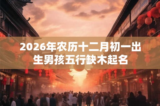 2026年农历十二月初一出生男孩五行缺木起名