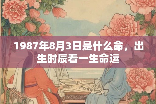 1987年8月3日是什么命，出生时辰看一生命运