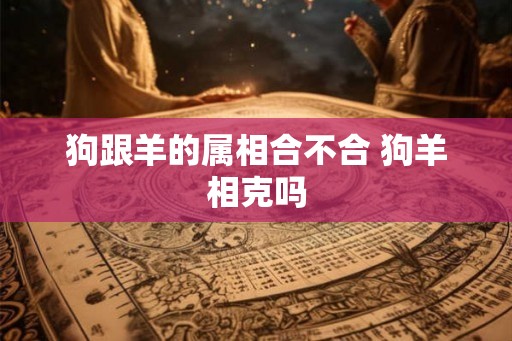 狗跟羊的属相合不合 狗羊相克吗
